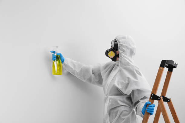 Mold Remediation for Rental Properties in Diamond, MO